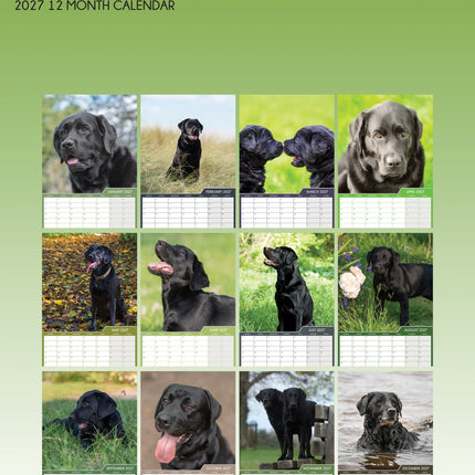 CalendarsRUs Labrador Retriever Zwart A3 Kalender 2027
