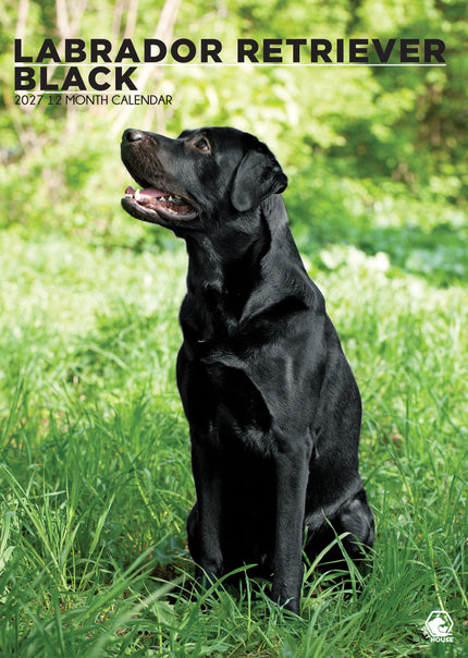 CalendarsRUs Labrador Retriever Zwart A3 Kalender 2027