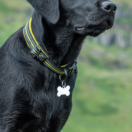 CalendarsRUs Labrador Retriever Zwart Slimline Kalender 2026
