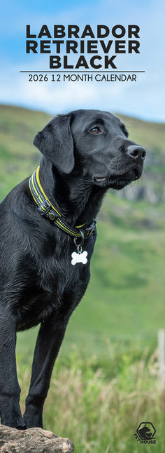 CalendarsRUs Labrador Retriever Zwart Slimline Kalender 2026