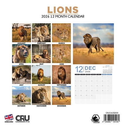 CalendarsRUs Leeuwen Kalender 2026