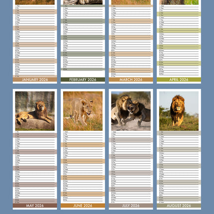 CalendarsRUs Leeuwen Slimline Kalender 2026