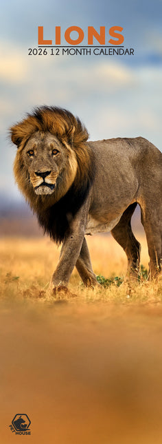 CalendarsRUs Leeuwen Slimline Kalender 2026