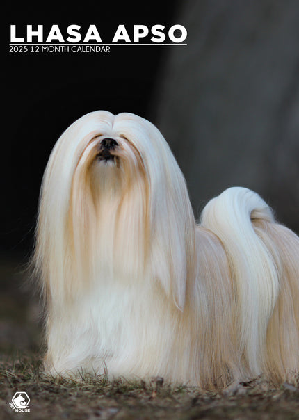 CalendarsRUs Lhasa Apso A3 Kalender 2025
