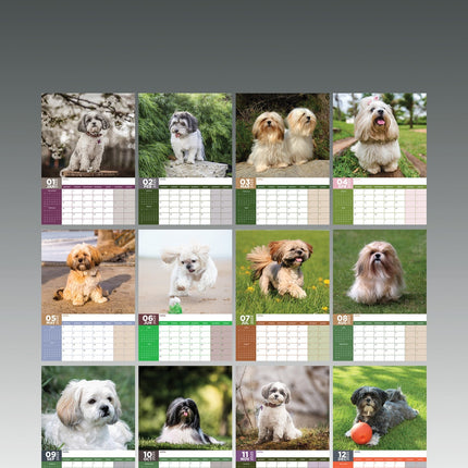 CalendarsRUs Lhasa Apso A3 Kalender 2025