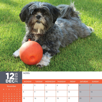 CalendarsRUs Lhasa Apso A3 Kalender 2025