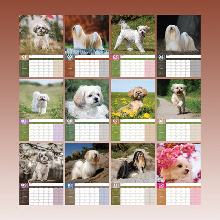 CalendarsRUs Lhasa Apso A3 Kalender 2026