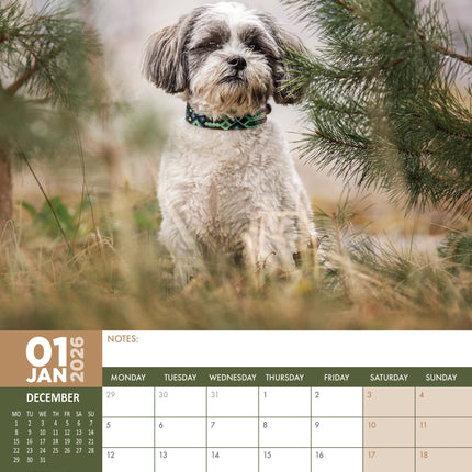 CalendarsRUs Lhasa Apso A3 Kalender 2026
