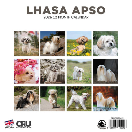 CalendarsRUs Lhasa Apso Kalender 2026