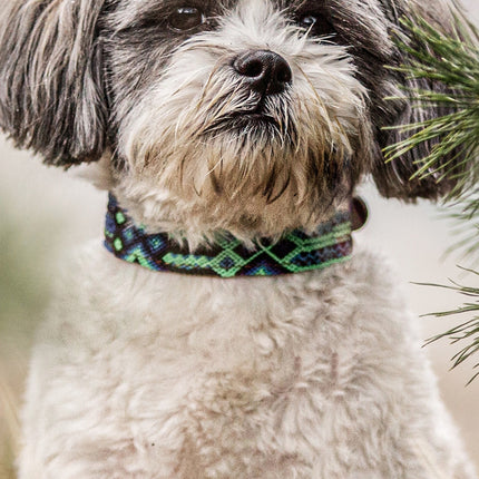 CalendarsRUs Lhasa Apso Slimline Kalender 2026