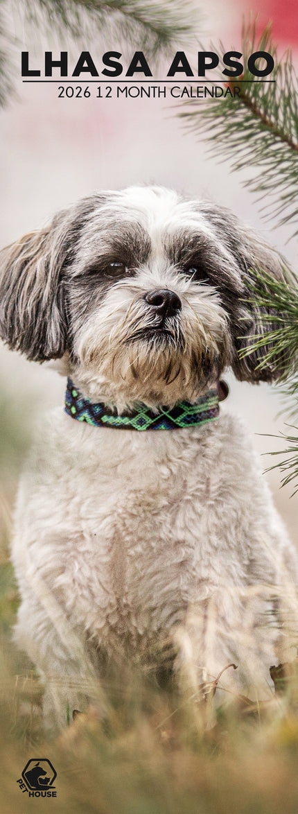 CalendarsRUs Lhasa Apso Slimline Kalender 2026