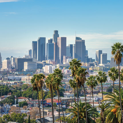 CalendarsRUs Los Angeles A3 Kalender 2025