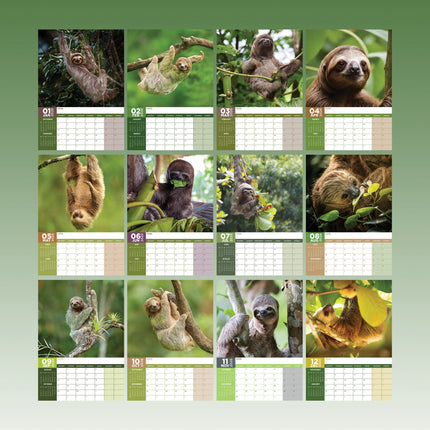 CalendarsRUs Luiaard A3 Kalender 2026