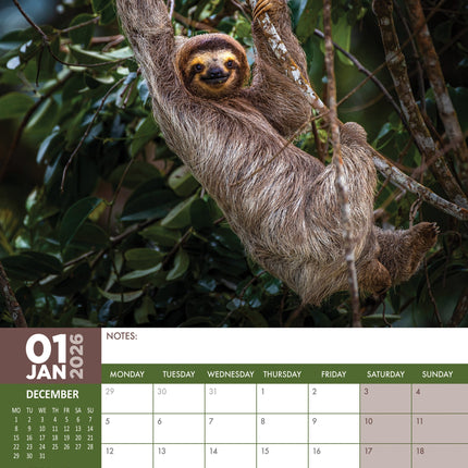 CalendarsRUs Luiaard A3 Kalender 2026