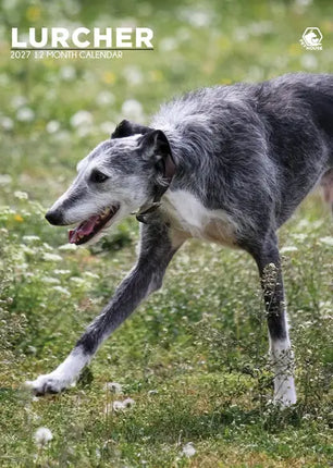 CalendarsRUs Lurcher A3 Kalender 2027