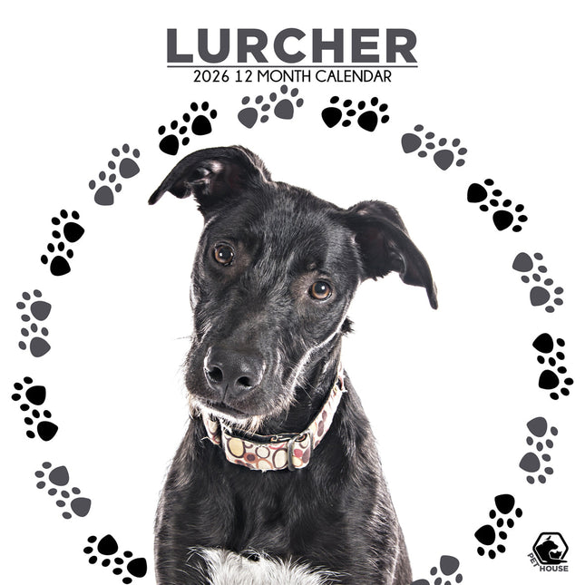 CalendarsRUs Lurcher Kalender 2026
