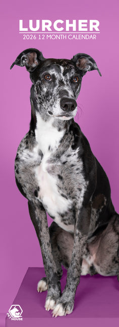 CalendarsRUs Lurcher Slimline Kalender 2026