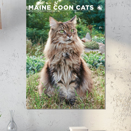 CalendarsRUs Maine Coon A3 Kalender 2026