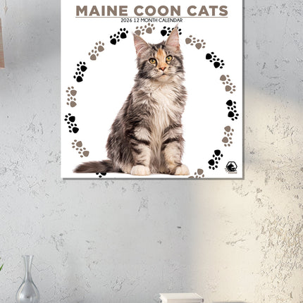 CalendarsRUs Maine Coon Kalender 2026