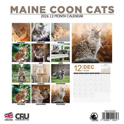 CalendarsRUs Maine Coon Kalender 2026