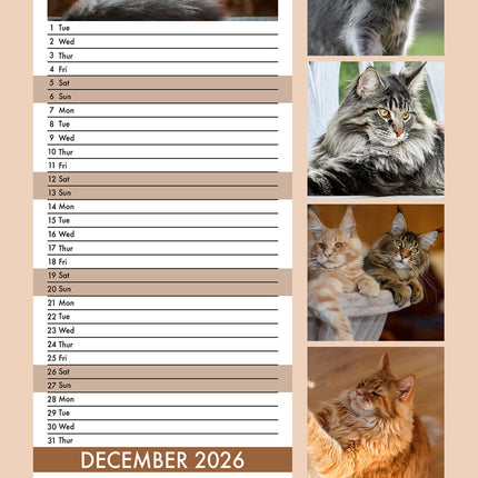 CalendarsRUs Maine Coon Slimline Kalender 2026