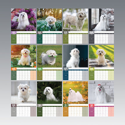 CalendarsRUs Maltezer A3 Kalender 2026