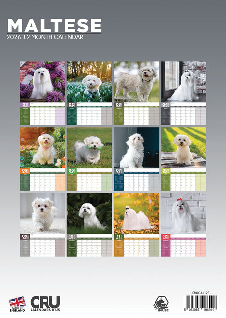 CalendarsRUs Maltezer A3 Kalender 2026