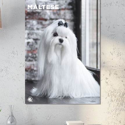 CalendarsRUs Maltezer A3 Kalender 2026