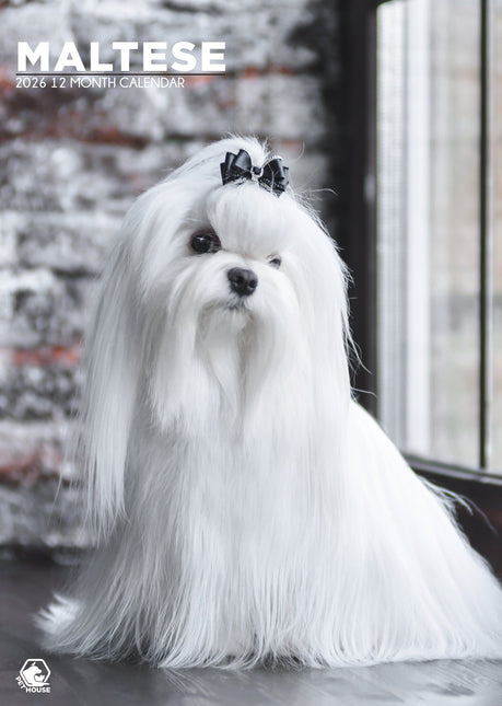 CalendarsRUs Maltezer A3 Kalender 2026