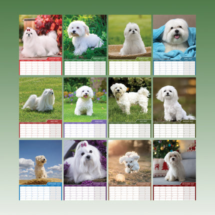 CalendarsRUs Maltezer A3 Kalender 2027