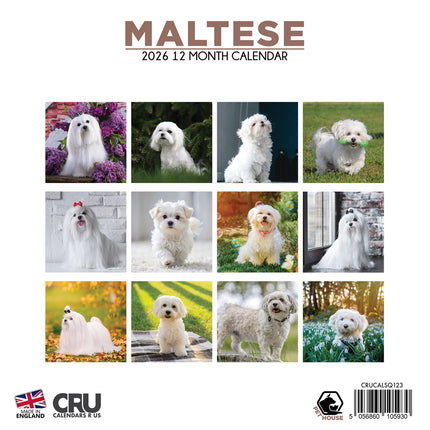 CalendarsRUs Maltezer Kalender 2026
