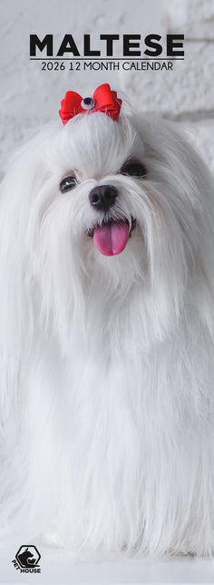 CalendarsRUs Maltezer Slimline Kalender 2026