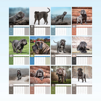 CalendarsRUs Mastino A3 Kalender 2026