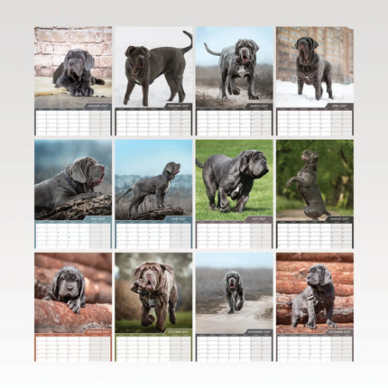 CalendarsRUs Mastino A3 Kalender 2027