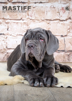CalendarsRUs Mastino A3 Kalender 2027