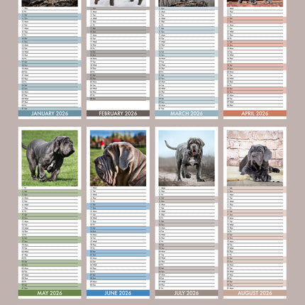 CalendarsRUs Mastino Napoletano Slimline Kalender 2026