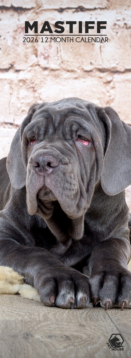 CalendarsRUs Mastino Napoletano Slimline Kalender 2026