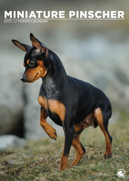 CalendarsRUs Miniatuur Pinscher A3 Kalender 2025