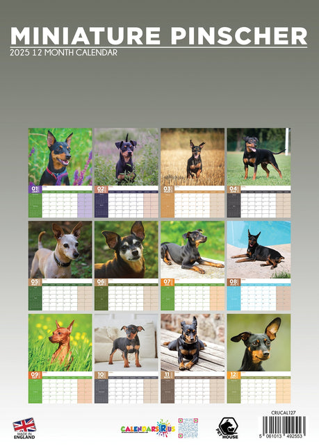 CalendarsRUs Miniatuur Pinscher A3 Kalender 2025