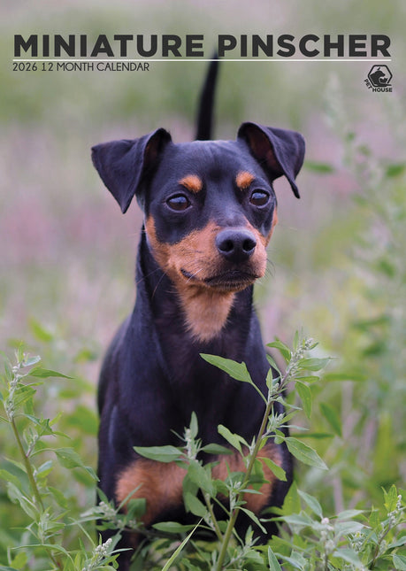CalendarsRUs Miniatuur Pinscher A3 Kalender 2027
