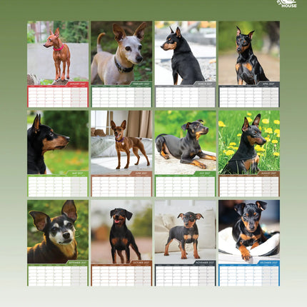 CalendarsRUs Miniatuur Pinscher A3 Kalender 2027