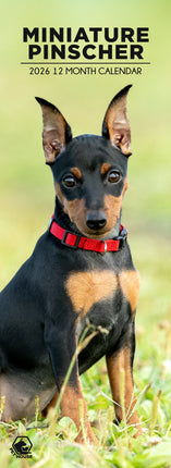 CalendarsRUs Miniatuur Pinscher Slimline Kalender 2026