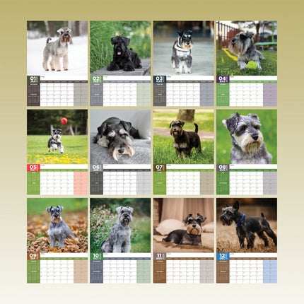 CalendarsRUs Miniatuur Schnauzer A3 Kalender 2026