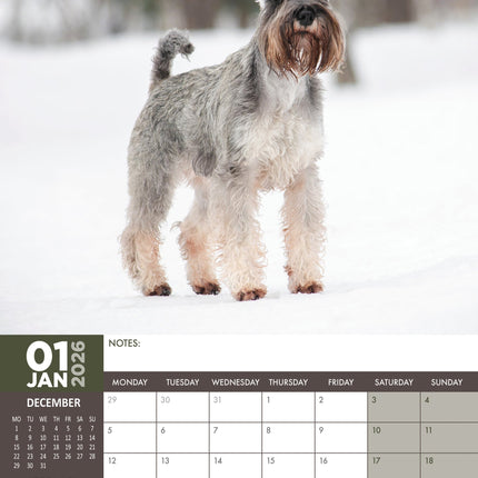 CalendarsRUs Miniatuur Schnauzer A3 Kalender 2026