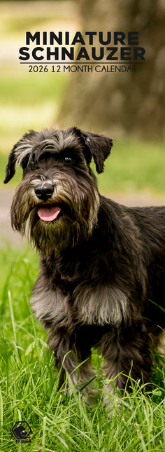 CalendarsRUs Miniatuur Schnauzer Slimline Kalender 2026