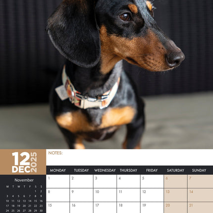 CalendarsRUs Miniatuur Teckel A3 Kalender 2025
