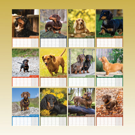 CalendarsRUs Miniatuur Teckel A3 Kalender 2027