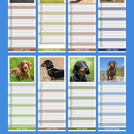 CalendarsRUs Miniatuur Teckel Slimline Kalender 2026
