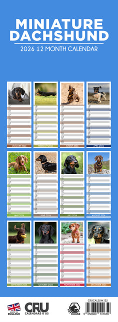 CalendarsRUs Miniatuur Teckel Slimline Kalender 2026