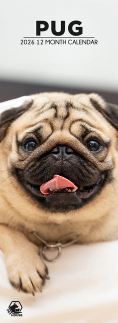 CalendarsRUs Mopshond Slimline Kalender 2026